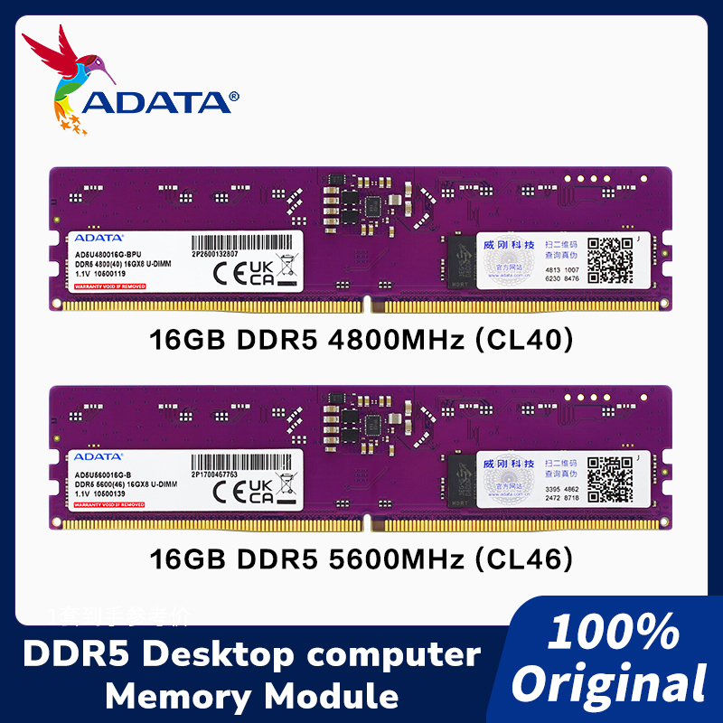 Modulo DRAM DIMM DDR5 ADATA da - Ddr5 4800Mhz recensione e prezzo